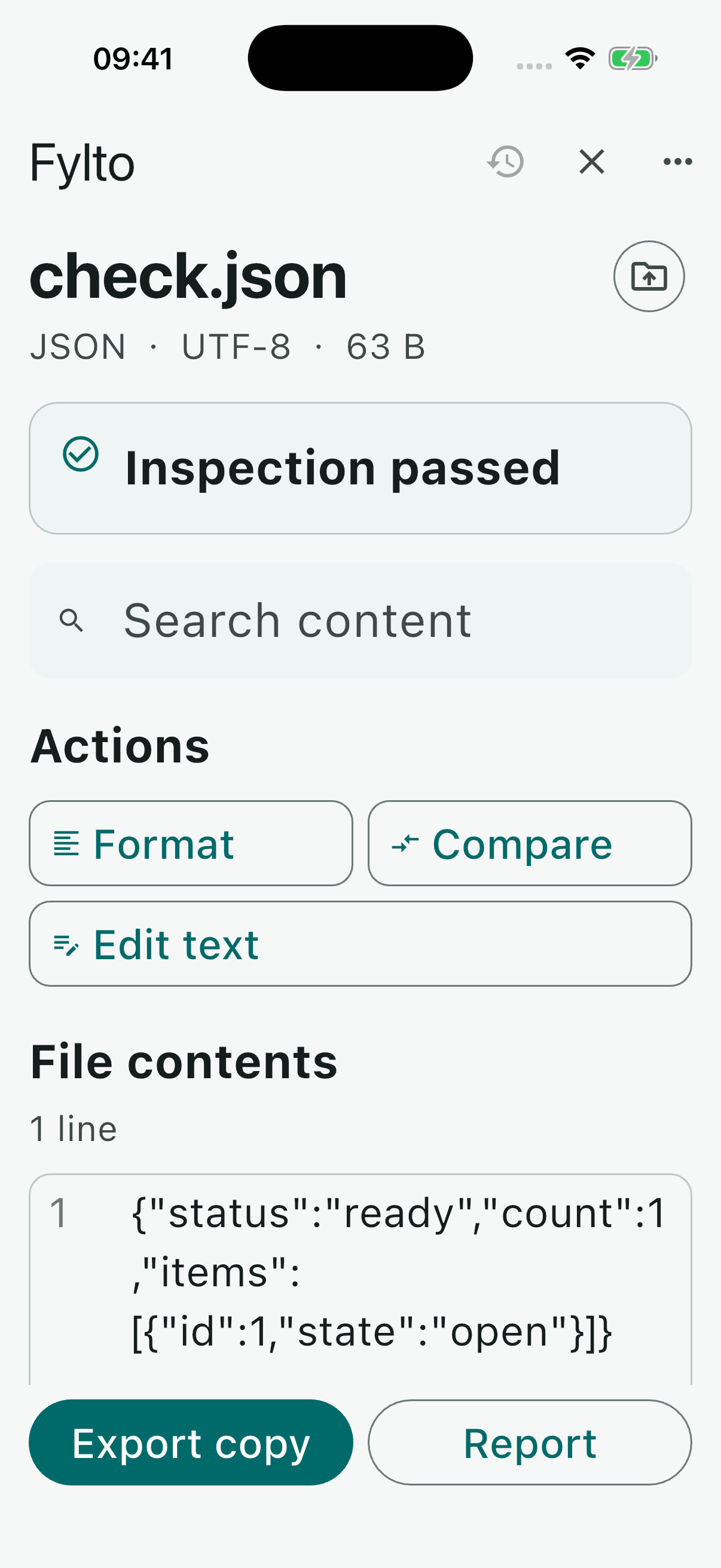 Fylto JSON inspection screen
